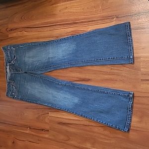 Womens Size 4 American Eagle Favorite Boyfriend jeans